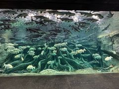 -哈尔滨波塞冬海底世界