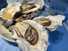 -千岛蚝高压锅生蚝·人参火锅(白云万达店)