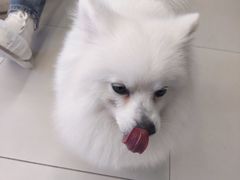 -怪兽屋·羊驼·猫咖·狗咖(俊华广场店)