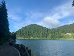 -武陵山森林公园