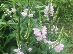 -长春公园(普阳街道)