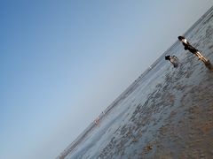 -南汇嘴观海公园