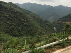 -大金山风景区