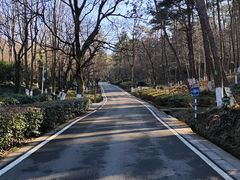 -南京老山国家森林公园