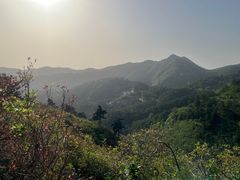 -木兰云雾山