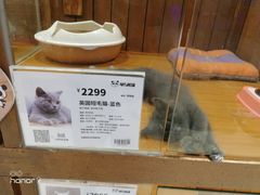 -龟与熊猫宠物公园(南坪店)