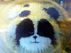 可爱的狗狗蛋糕-丁大房(明德广厦店)