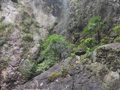 -雁荡山三折瀑景区