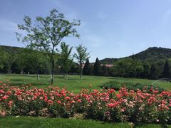 -北京宽沟会议中心