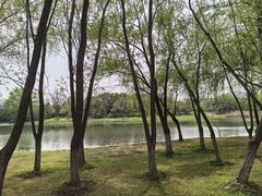 -长广溪湿地公园