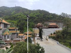 -南海湾森林生态园