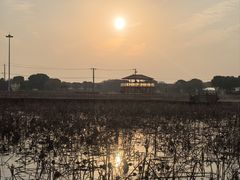 -嘉北郊野公园