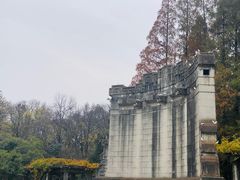 -音乐台