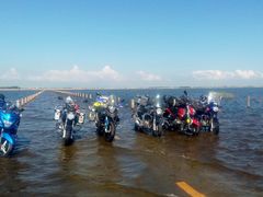 -沪上阿姨·精选茶饮(南浦路店)