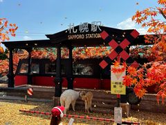 -Blue Concept Cafe&Farm·關於藍