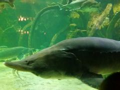 -华夏文旅西安度假区