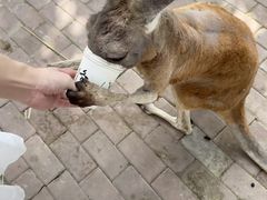 -水上乐园·欢乐世界