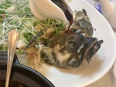 翡翠功夫大海斑-玛宝鲜海鲜酒家