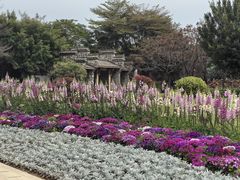 -厦门园林博览苑