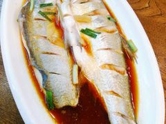 清蒸白水鱼-老马家·舌尖上的西塘美食