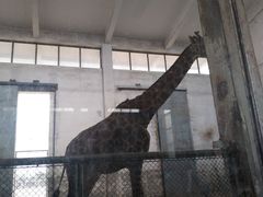 -石家庄市动物园