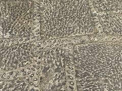 -长兴太湖图影湿地文化园