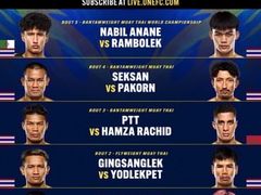 -TFC 纯泰拳馆MuayThai