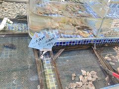 -天盛海鲜烧烤大排档·本地小海鲜·牟平腿穗子(幸福店)