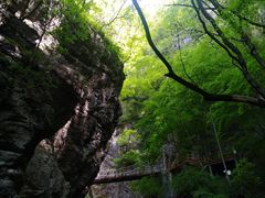 -牛背梁国家森林公园