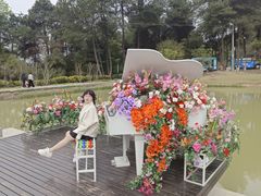 -铁山坪森林公园