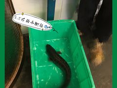 -龙继斑鱼庄(犀浦店)