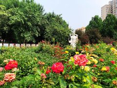 -丰台花园