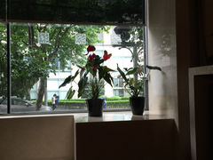 柏阳君亭-上海柏阳君亭酒店(复旦大学店)