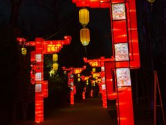 -洛阳市隋唐城遗址植物园