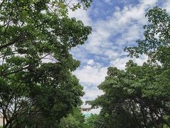 -刘氏重庆鸡公煲(电大店)