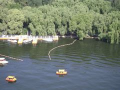 景点-沈阳南湖公园