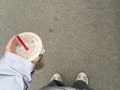 -代数学家algebraist(苏州中心店)