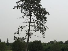 汉阳陵博物馆-汉景帝阳陵博物院