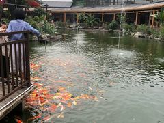 -大门水乡·顺德菜