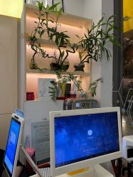 -菲·木田moontin造型salon