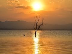 -观澜小洱海