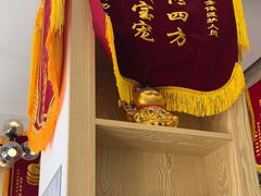 -芭比堂动物医院·心脏科·老年急重症·夜诊·吉雅分院
