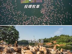 -郴州特产舜华临武鸭(郴州西站店)