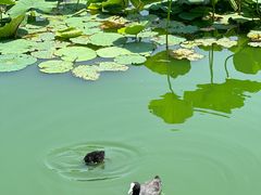 -前关湿地公园