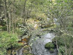 -汤旺河林海奇石景区