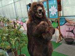 -天源吉布世温泉水乐园