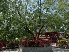 -华清宫景区