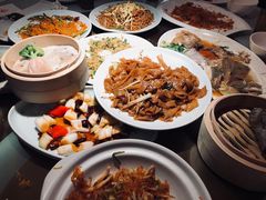 -南枝记