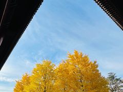 -北京石刻艺术博物馆(五塔寺)
