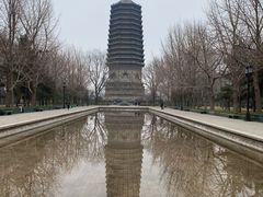 -玲珑塔公园